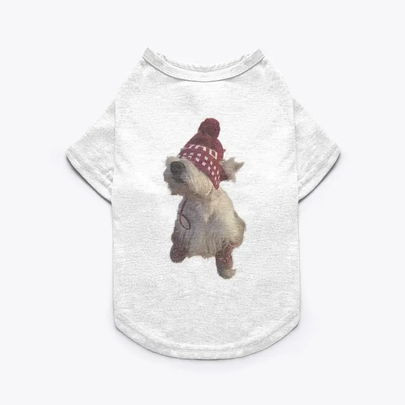 Pet Tee 